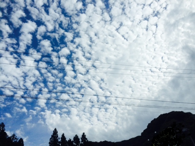 No.18991-1 地震雲