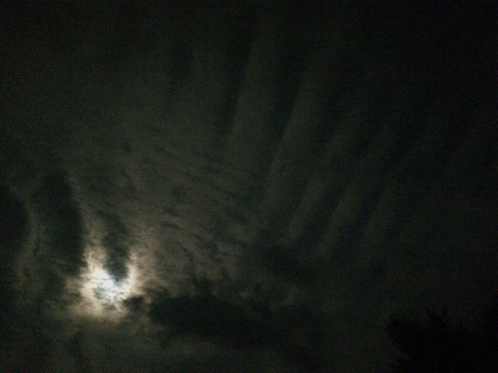 No.19001-1 地震雲