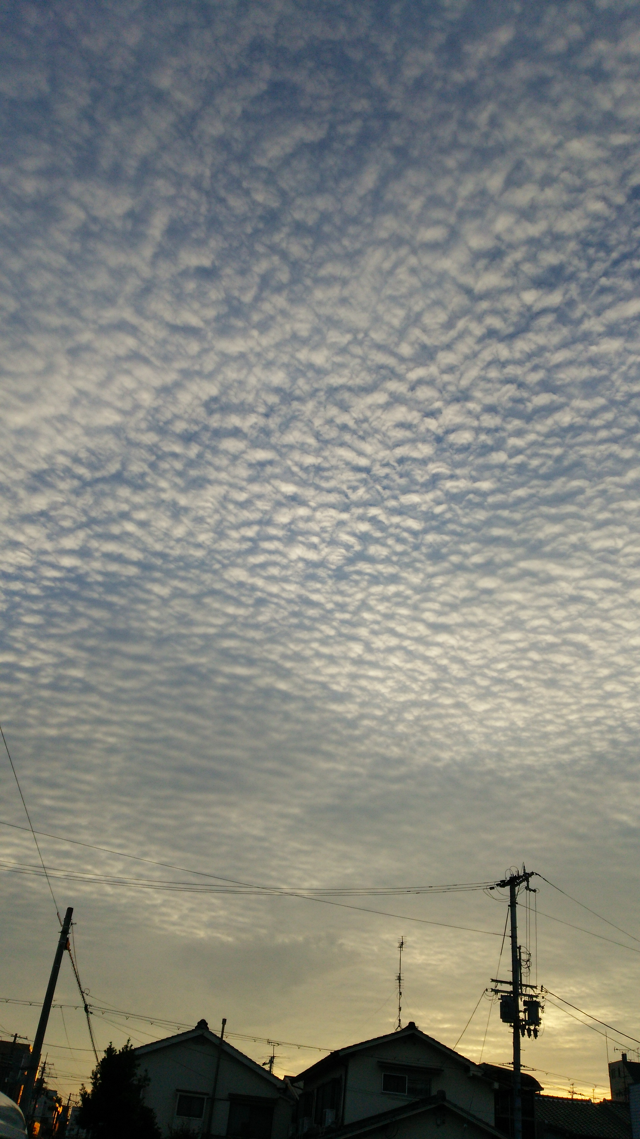 No.19115-1 地震雲