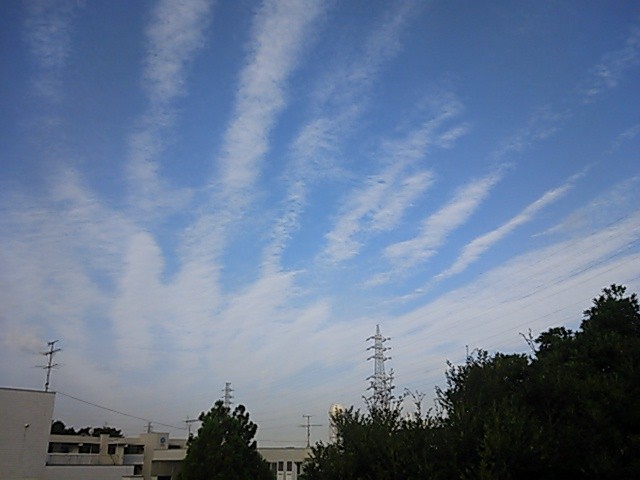 No.19261-1 地震雲