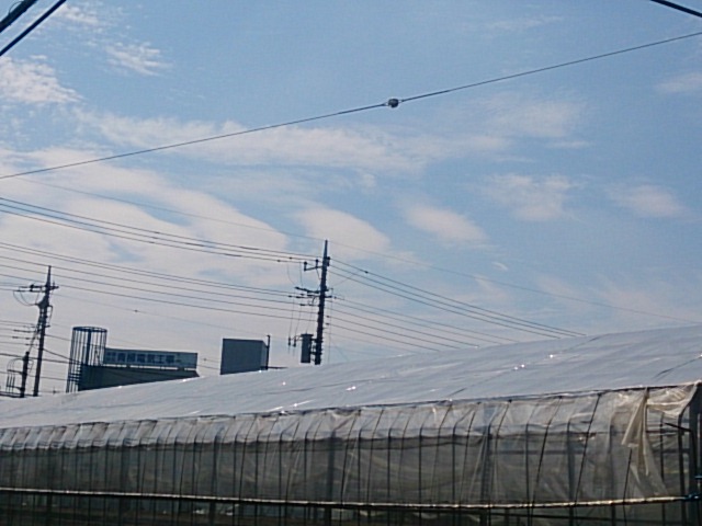 No.19345-1 地震雲