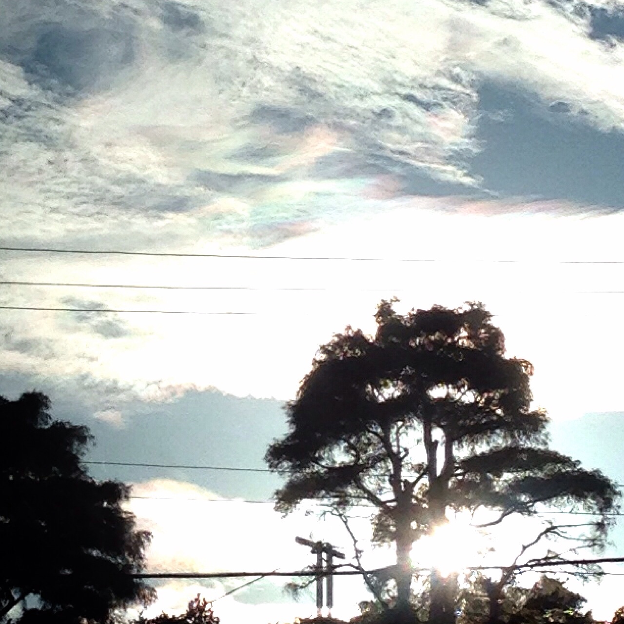 No.19443-1 地震雲