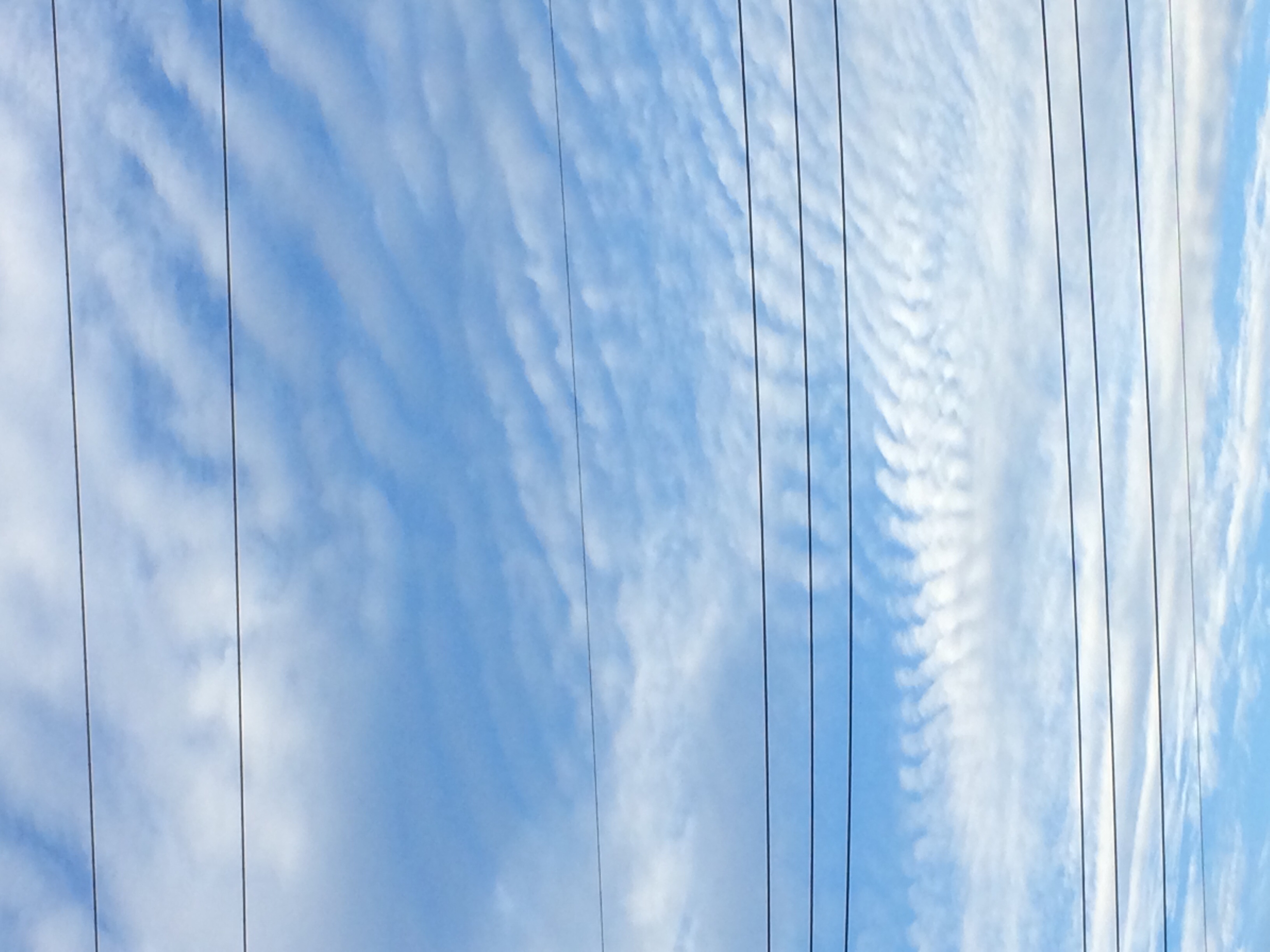 No.19448-1 地震雲