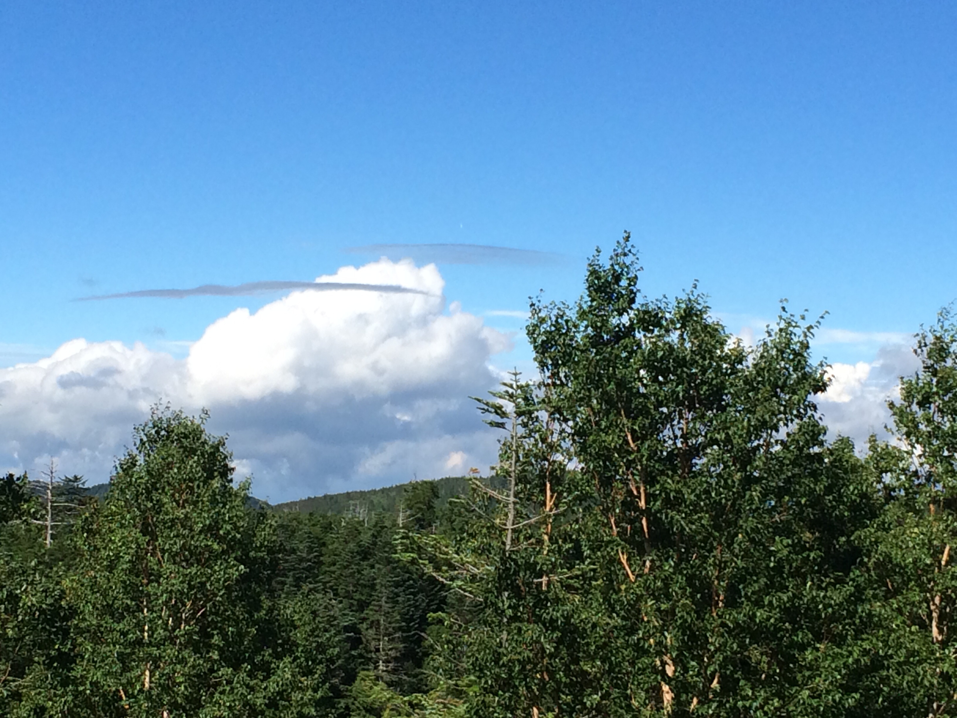 No.19659-1 地震雲