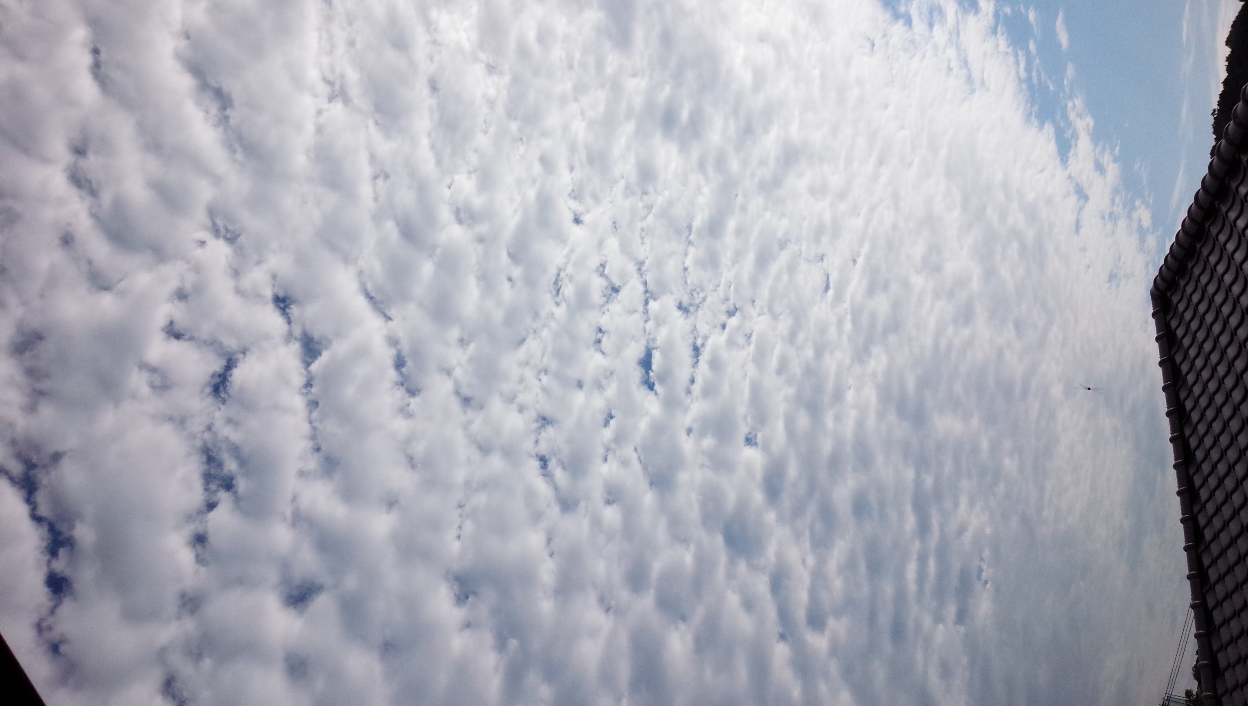 No.19805-1 地震雲