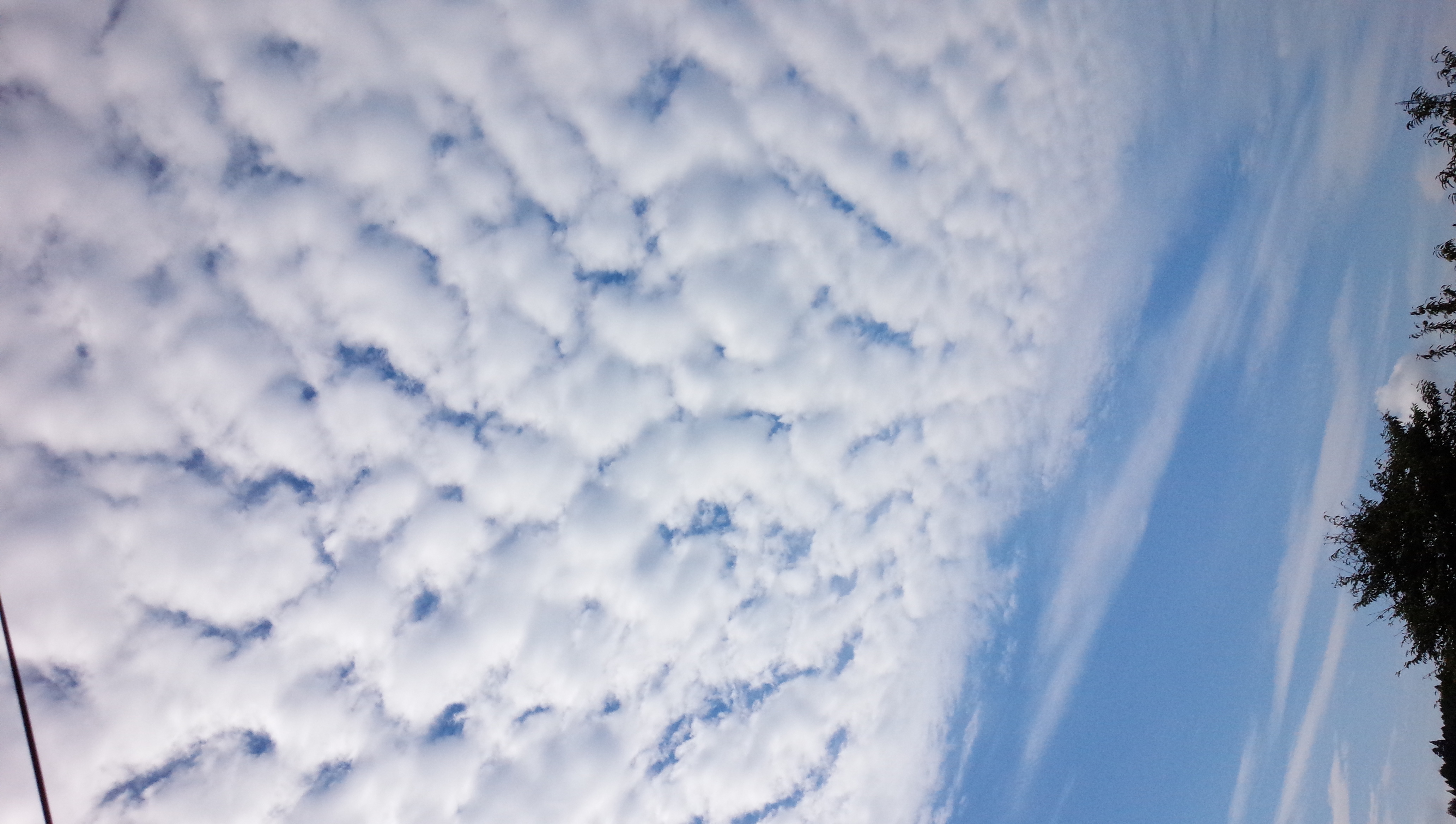 No.19809-1 地震雲