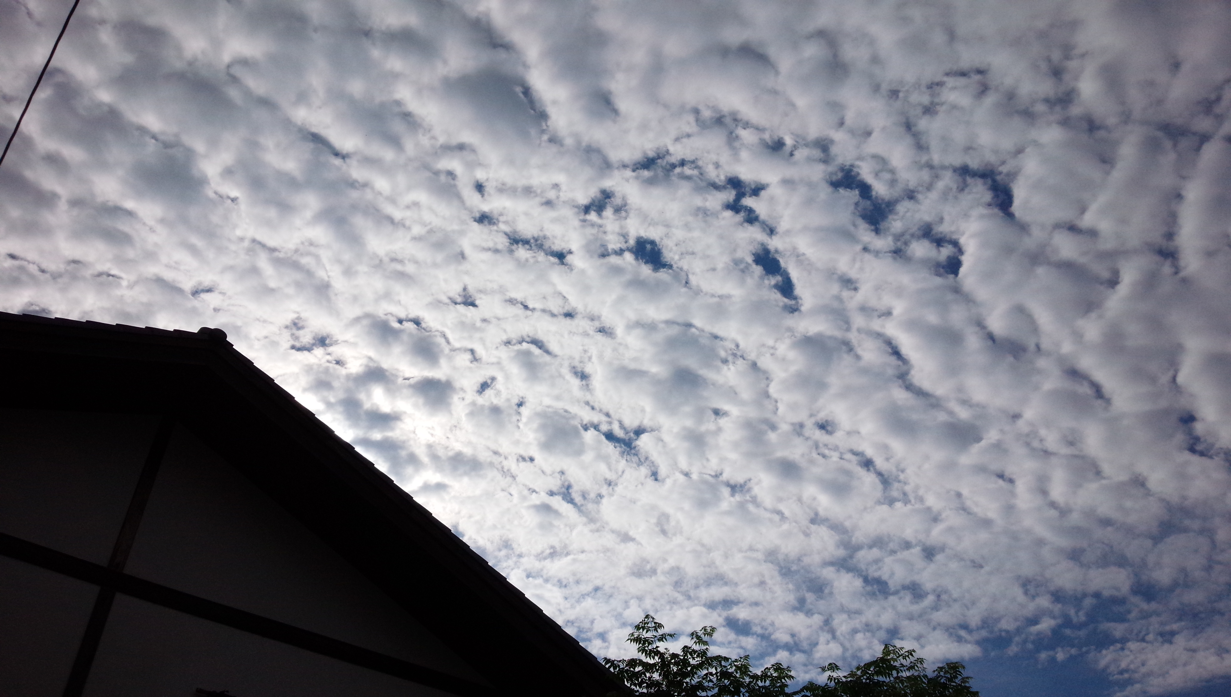 No.19810-1 地震雲