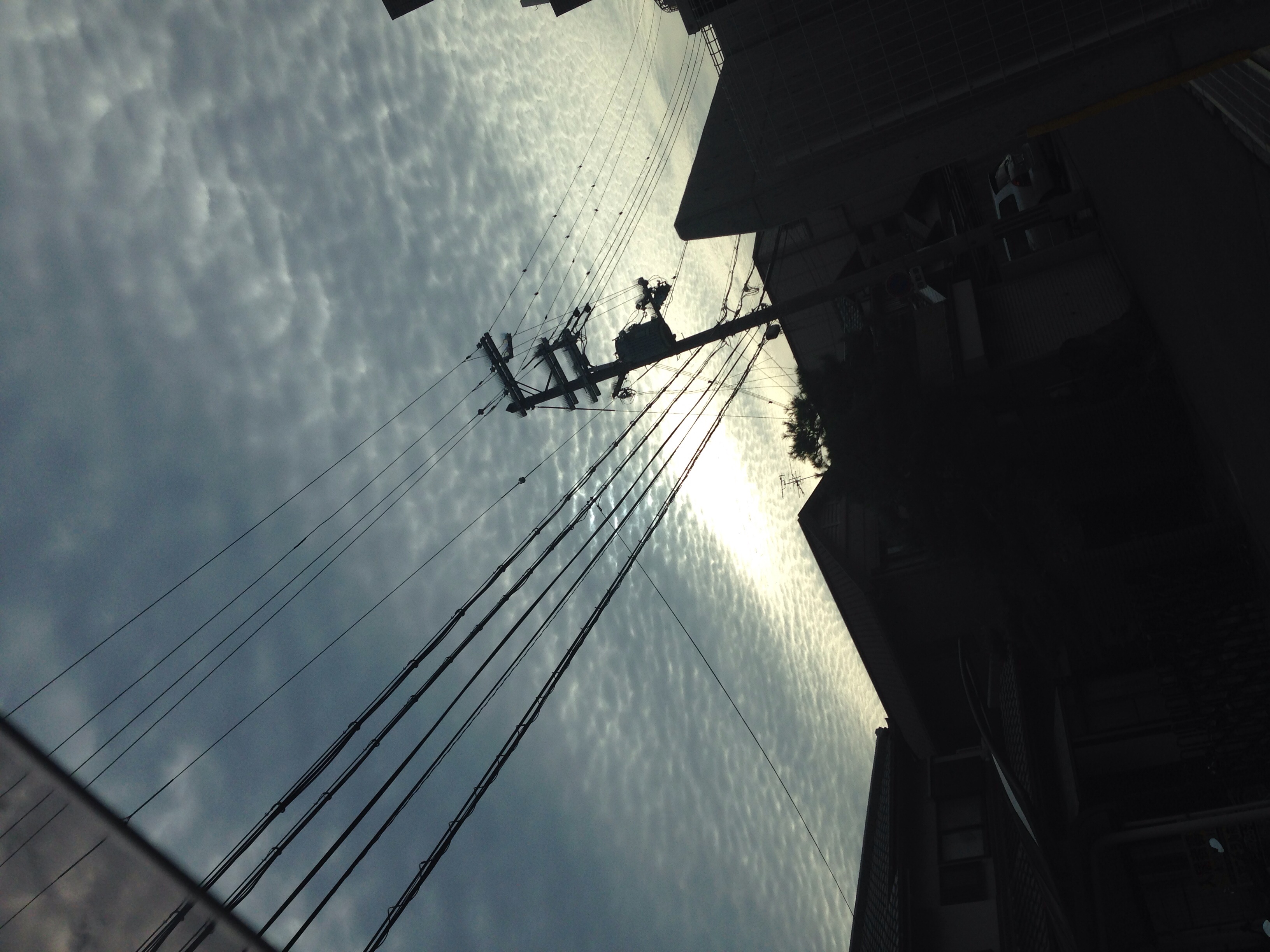 No.19850-1 地震雲