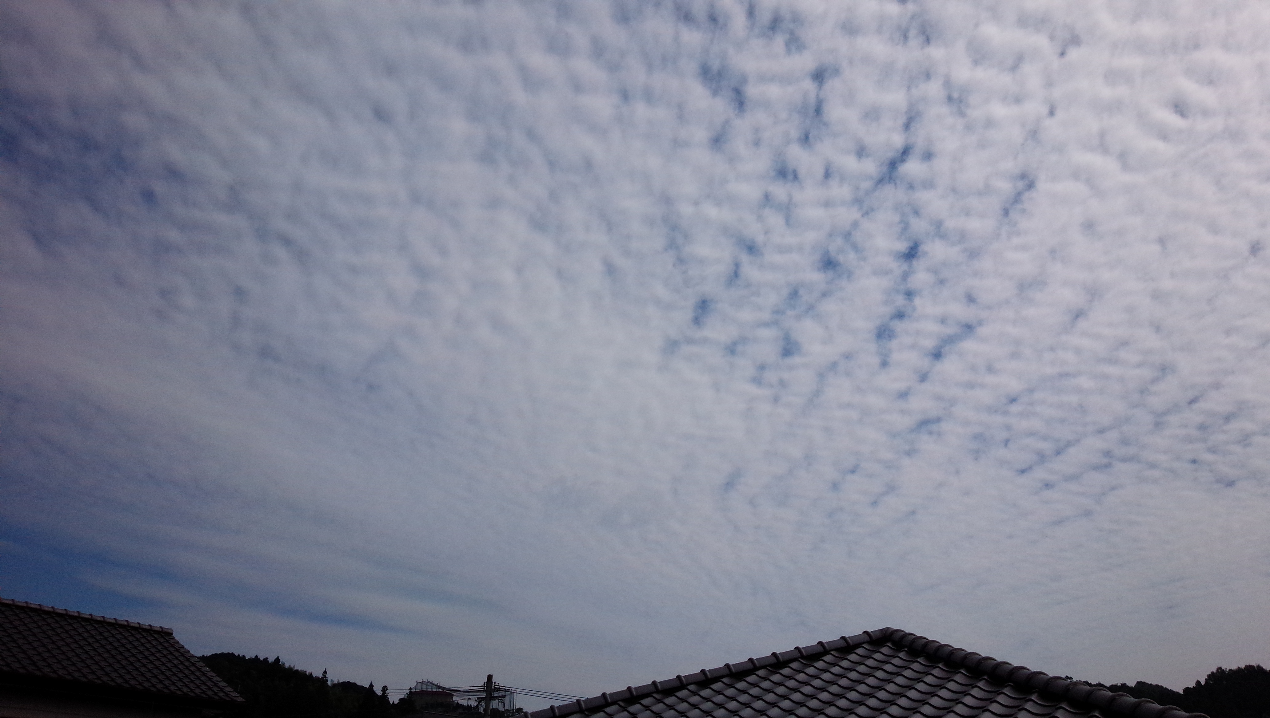 No.19864-1 地震雲