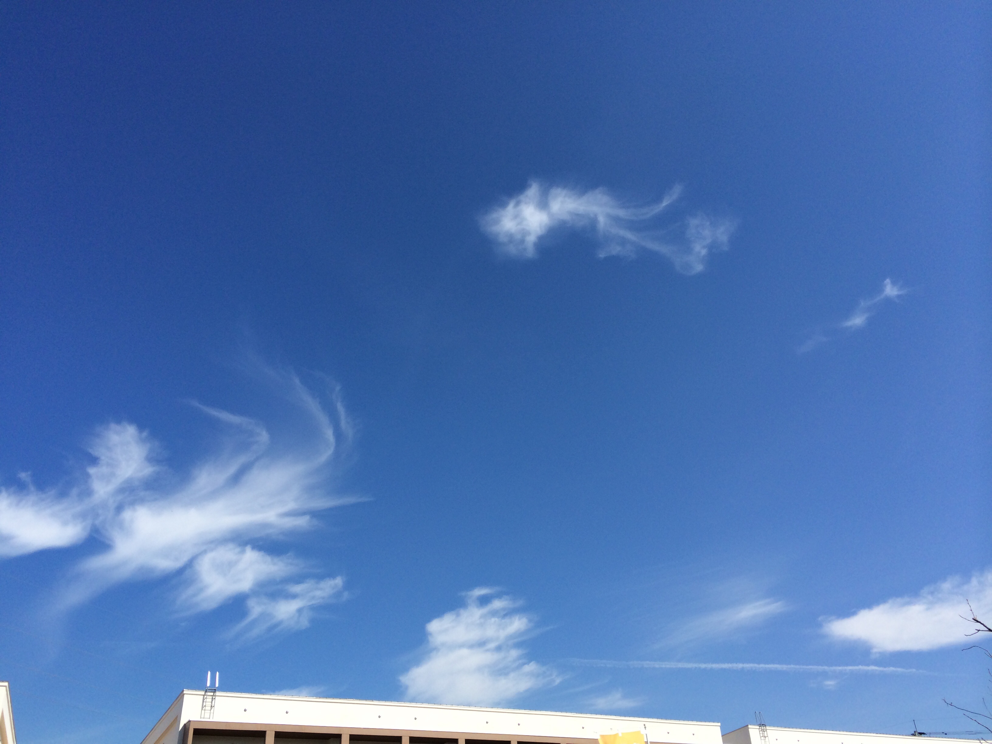 No.19883-1 地震雲