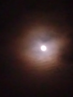 No.19913-1 地震雲