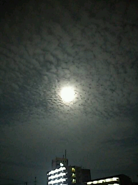 No.19916-1 地震雲