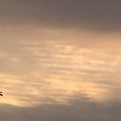 No.20048-1 地震雲