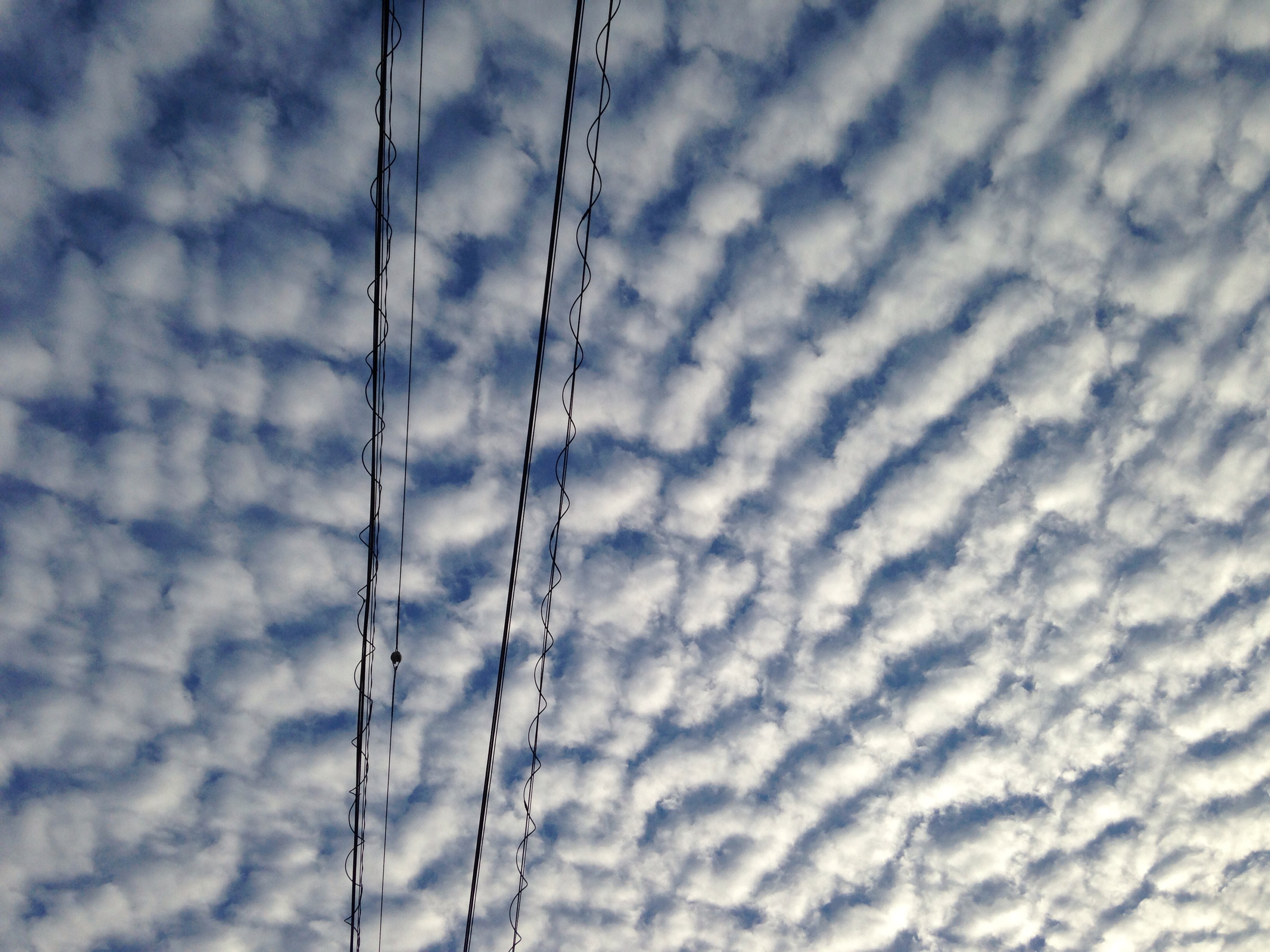 No.20068-1 地震雲