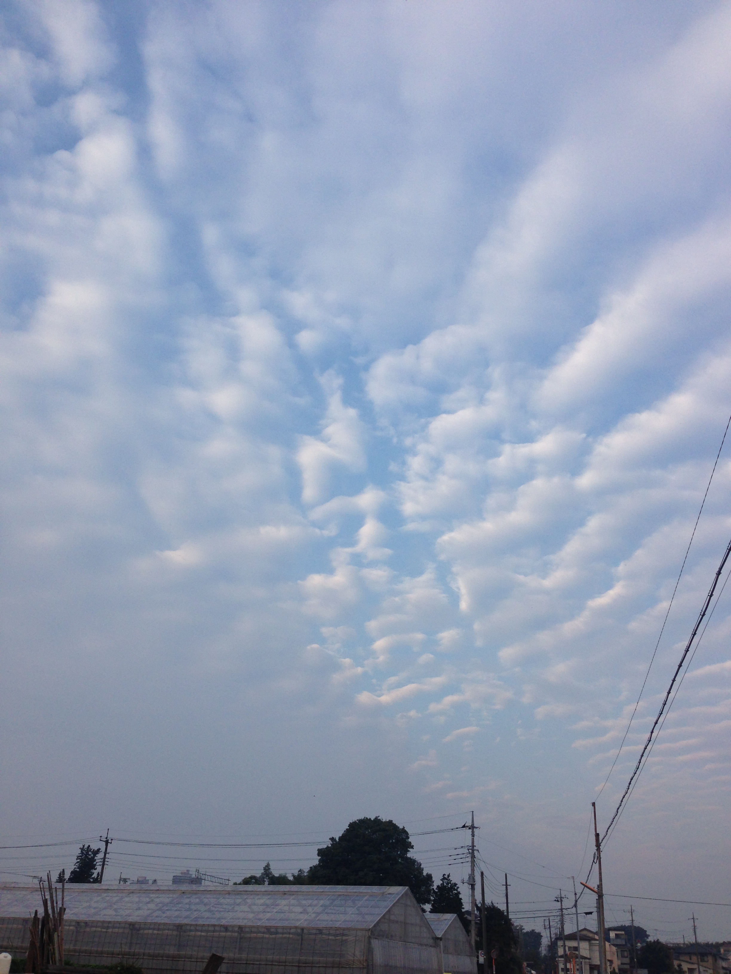 No.20092-1 地震雲