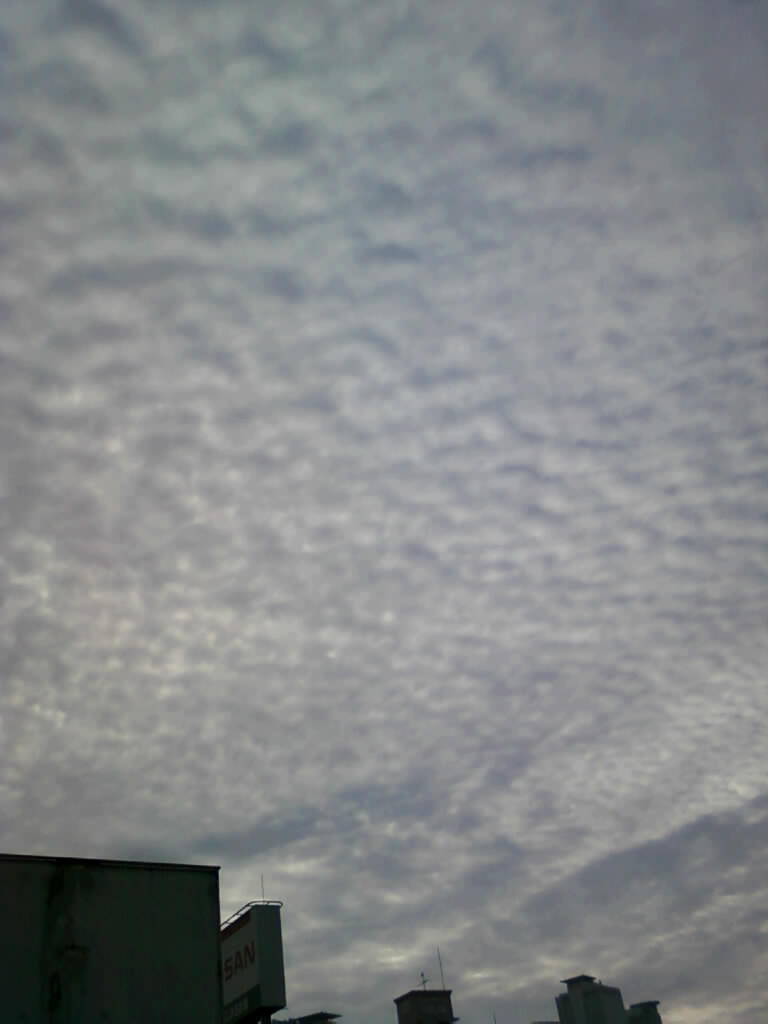 No.20094-1 地震雲