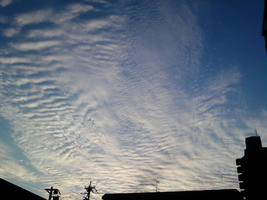 No.20095-1 地震雲