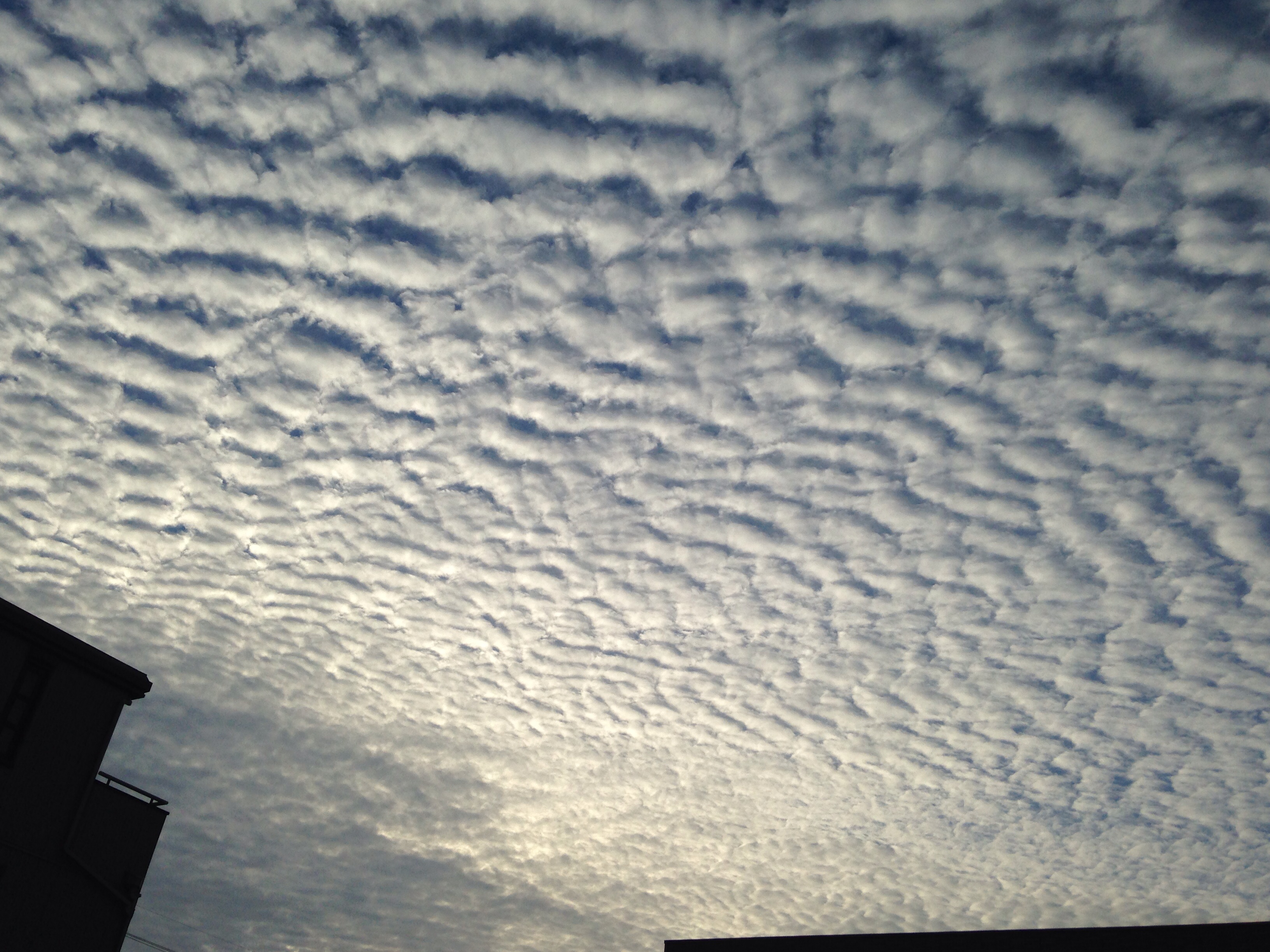 No.20105-1 地震雲