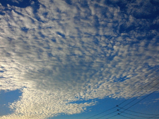 No.20117-1 地震雲