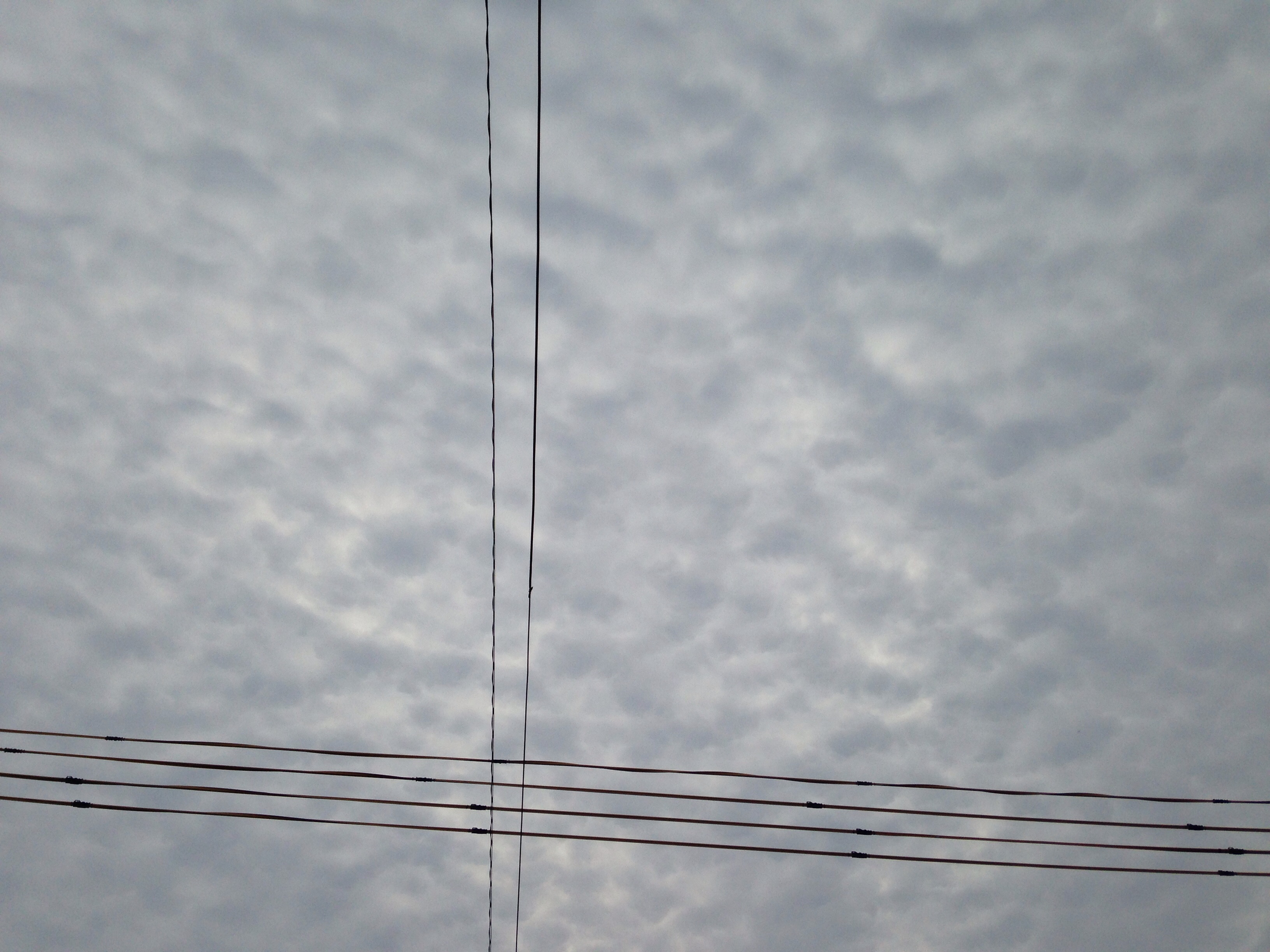 No.20137-1 地震雲