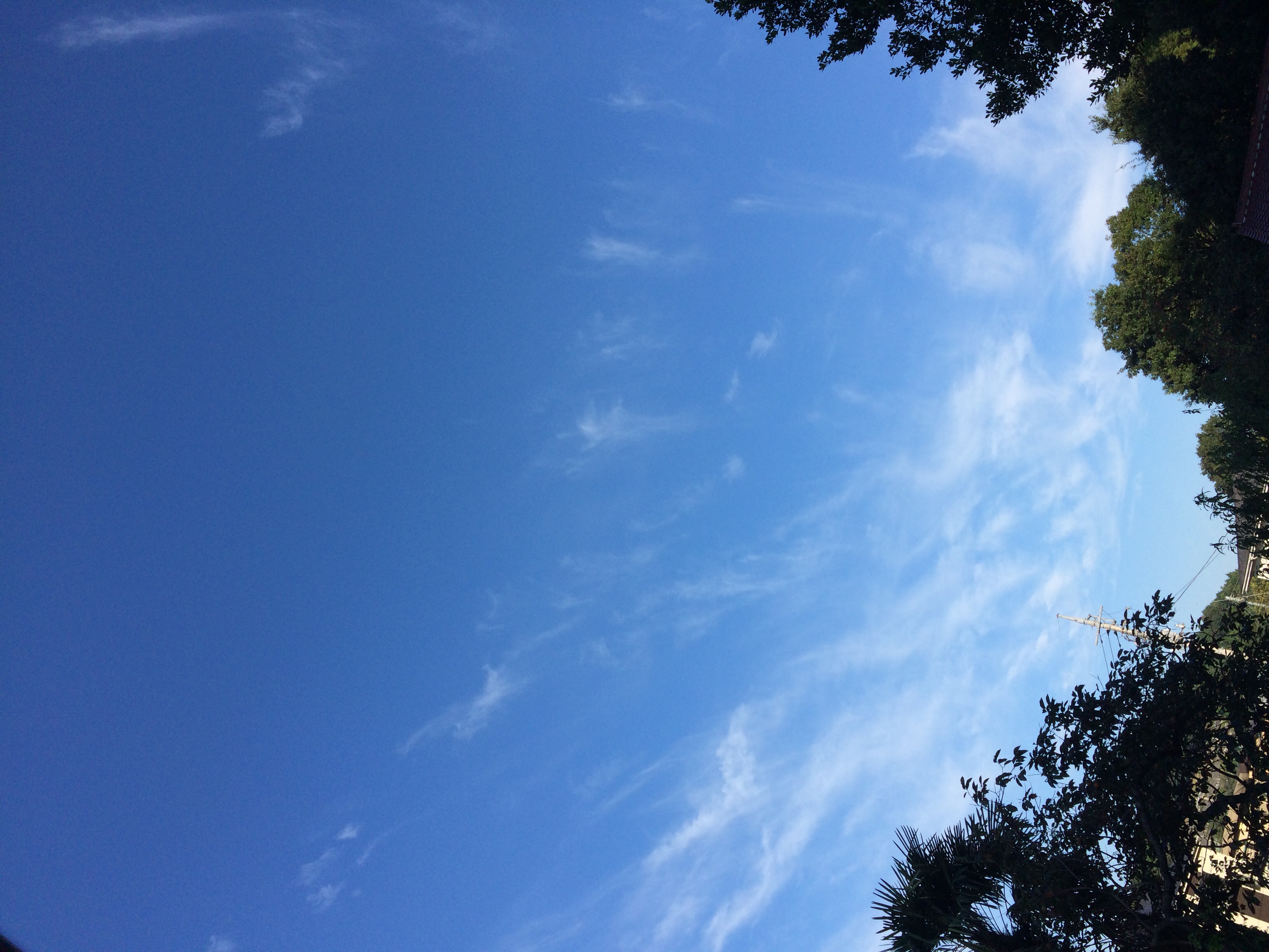 No.20234-1 地震雲