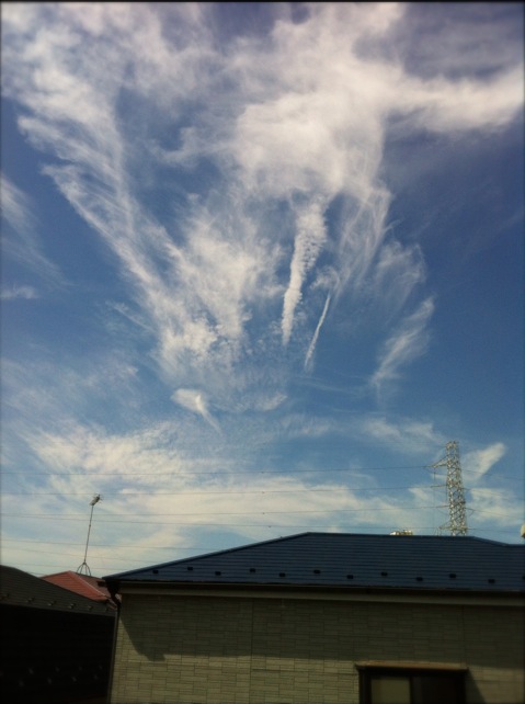 No.20239-1 地震雲