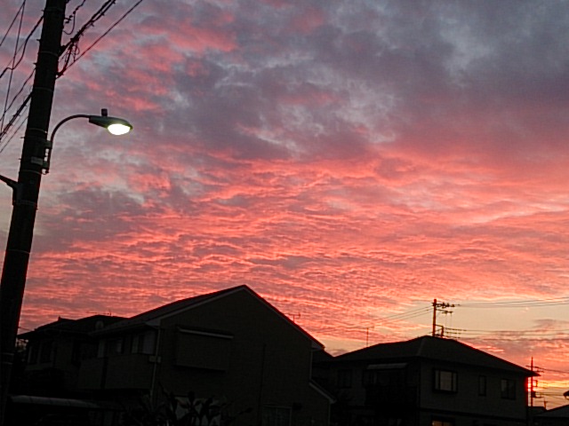 No.20250-1 地震雲