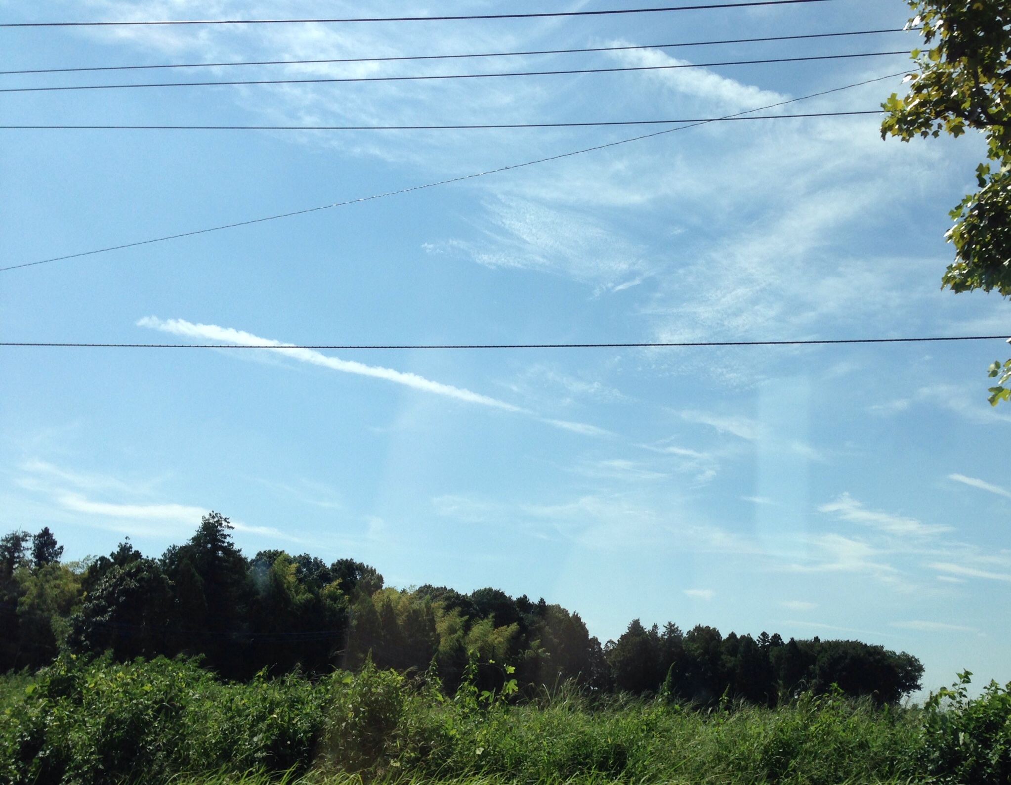 No.20251-1 地震雲