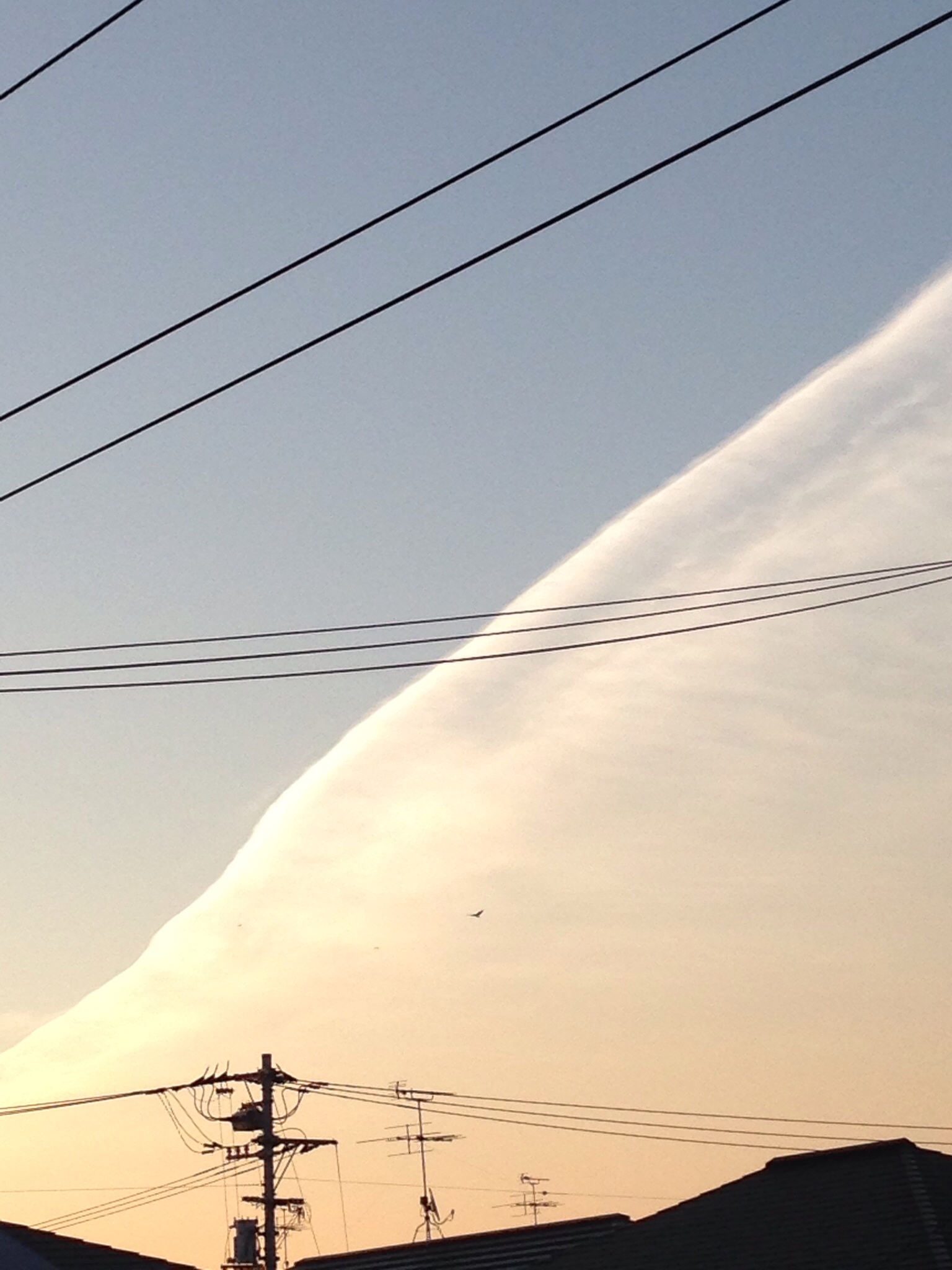 No.20299-1 地震雲