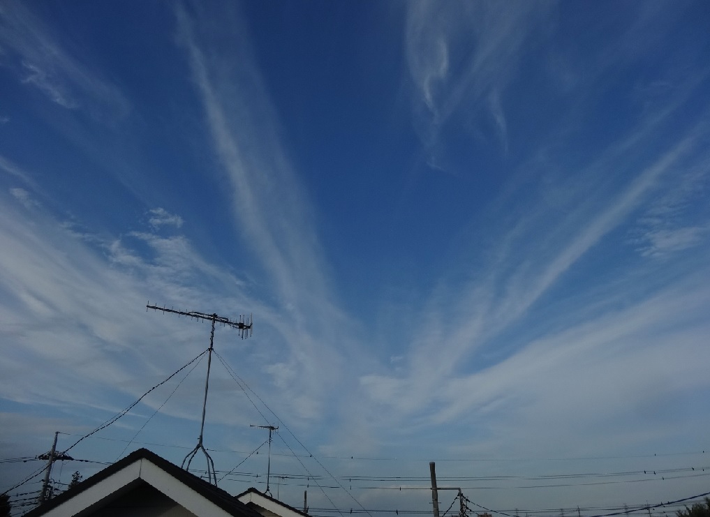 No.20393-1 地震雲