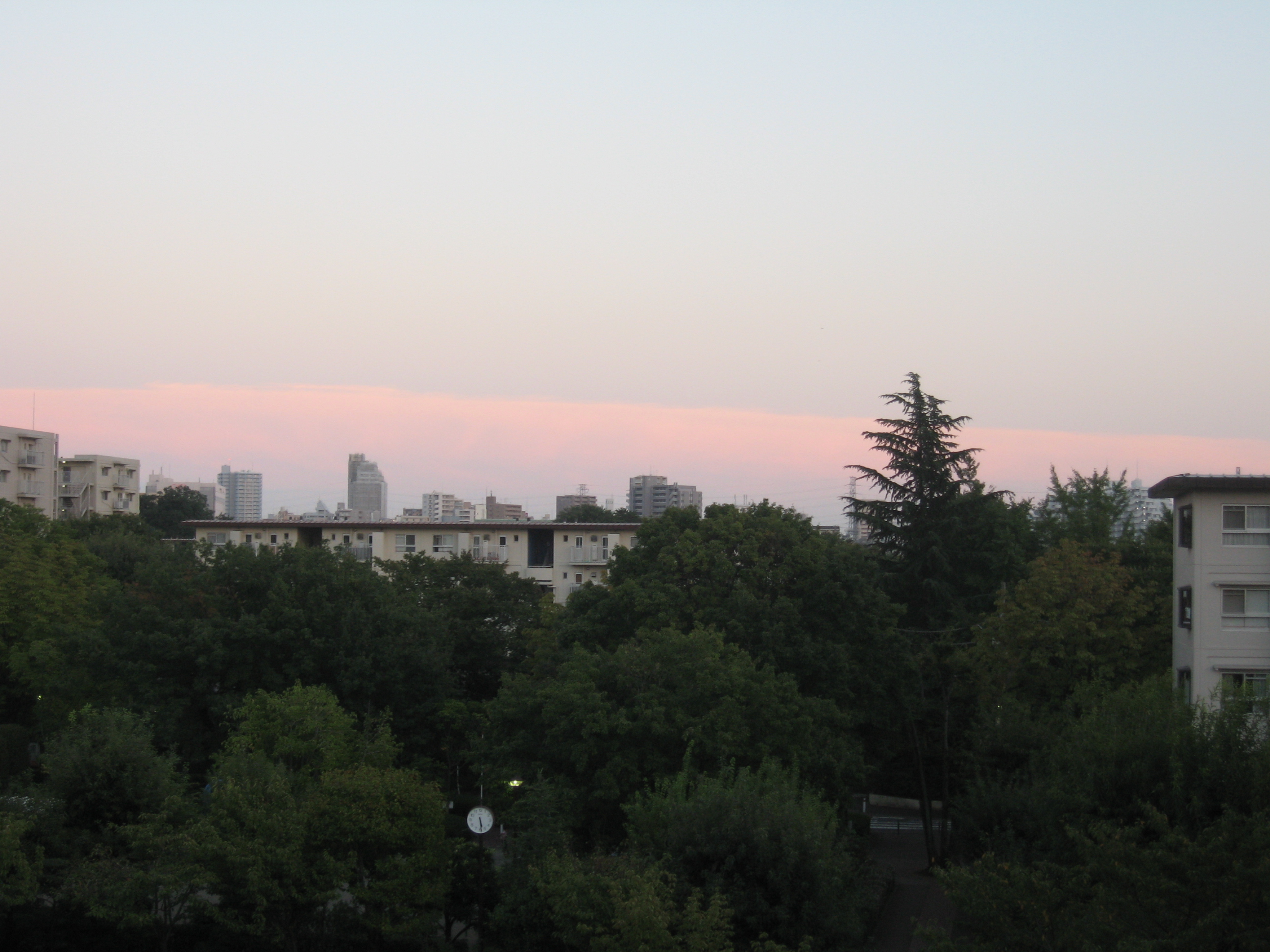 No.20446-1 地震雲