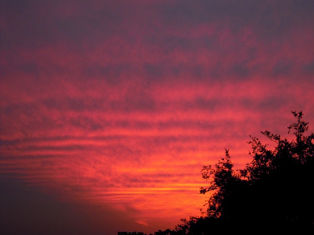 No.20693-1 地震雲