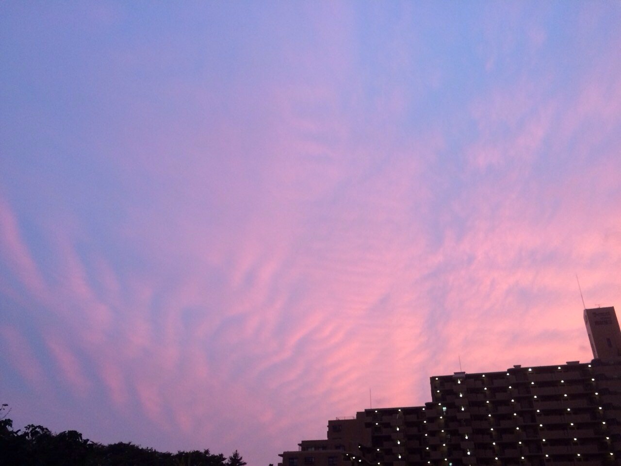 No.20699-1 地震雲