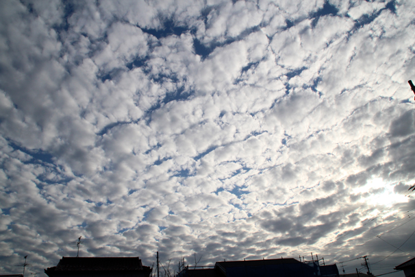 No.21031-1 地震雲