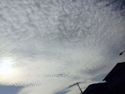 No.21069-1 地震雲