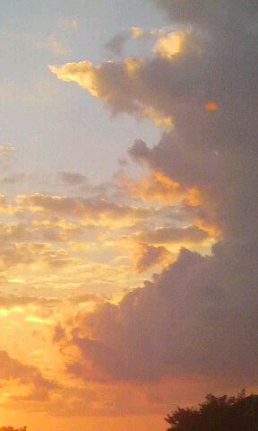 No.21240-1 地震雲