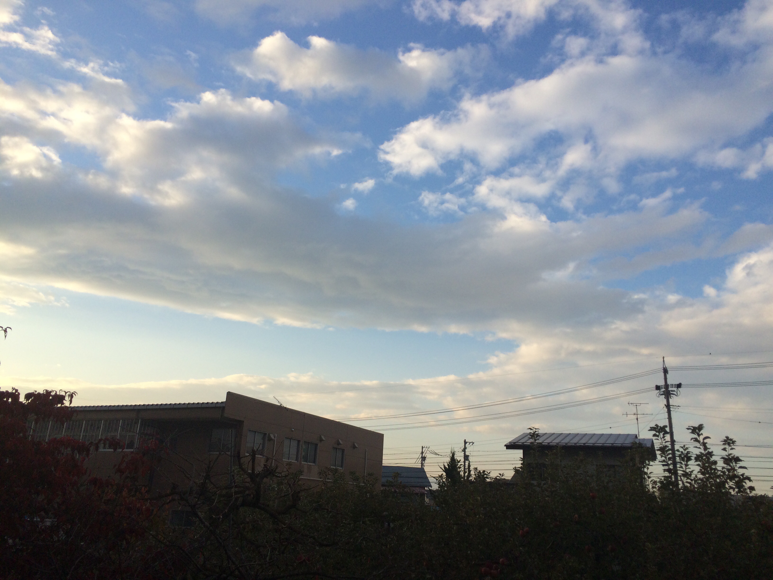 No.21297-1 地震雲