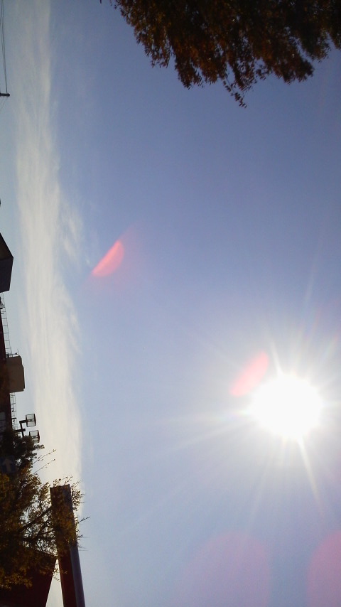 No.21487-1 地震雲