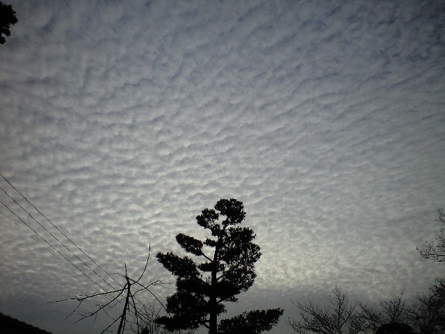 No.21831-1 地震雲