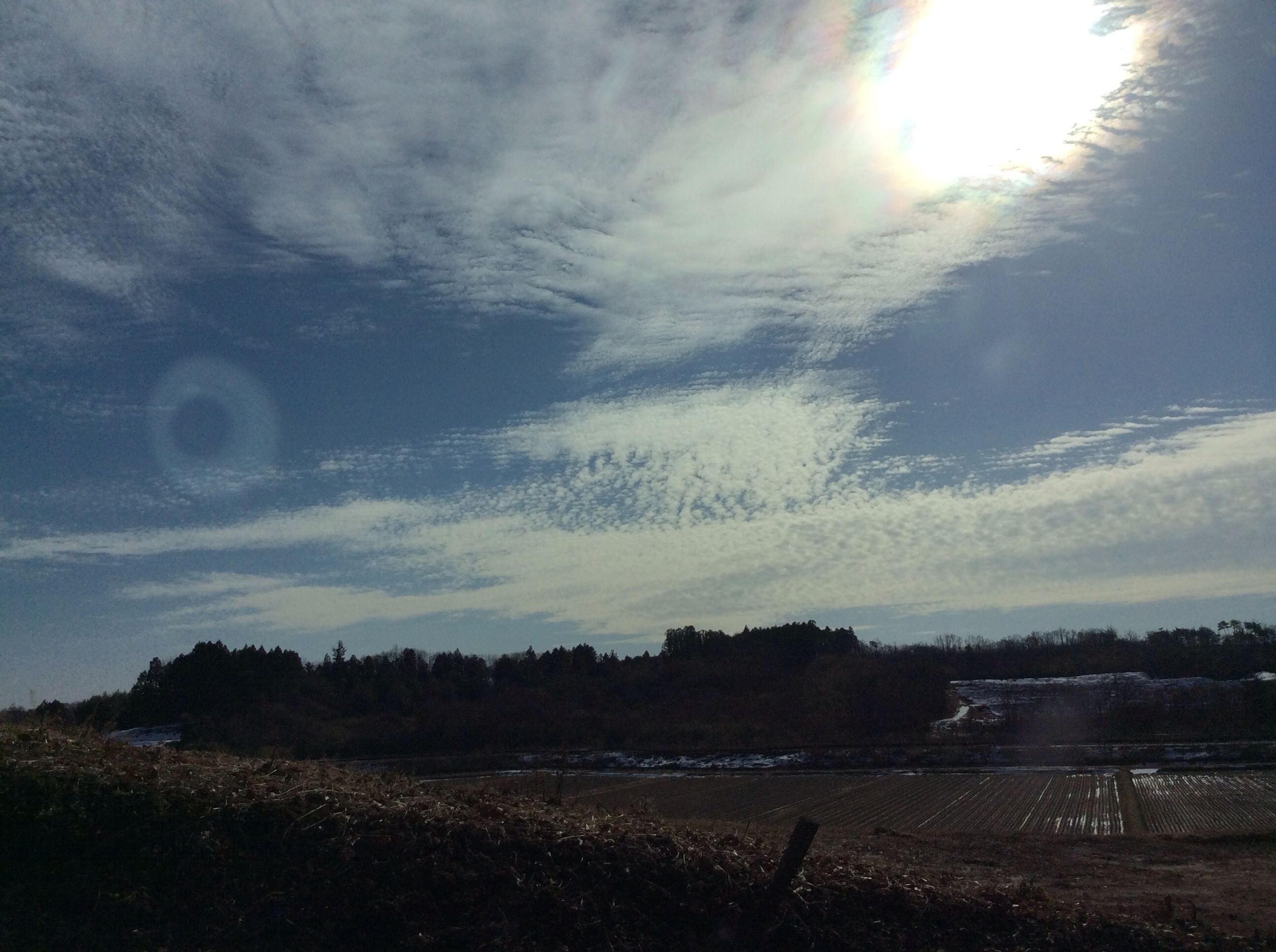 No.22205-1 地震雲