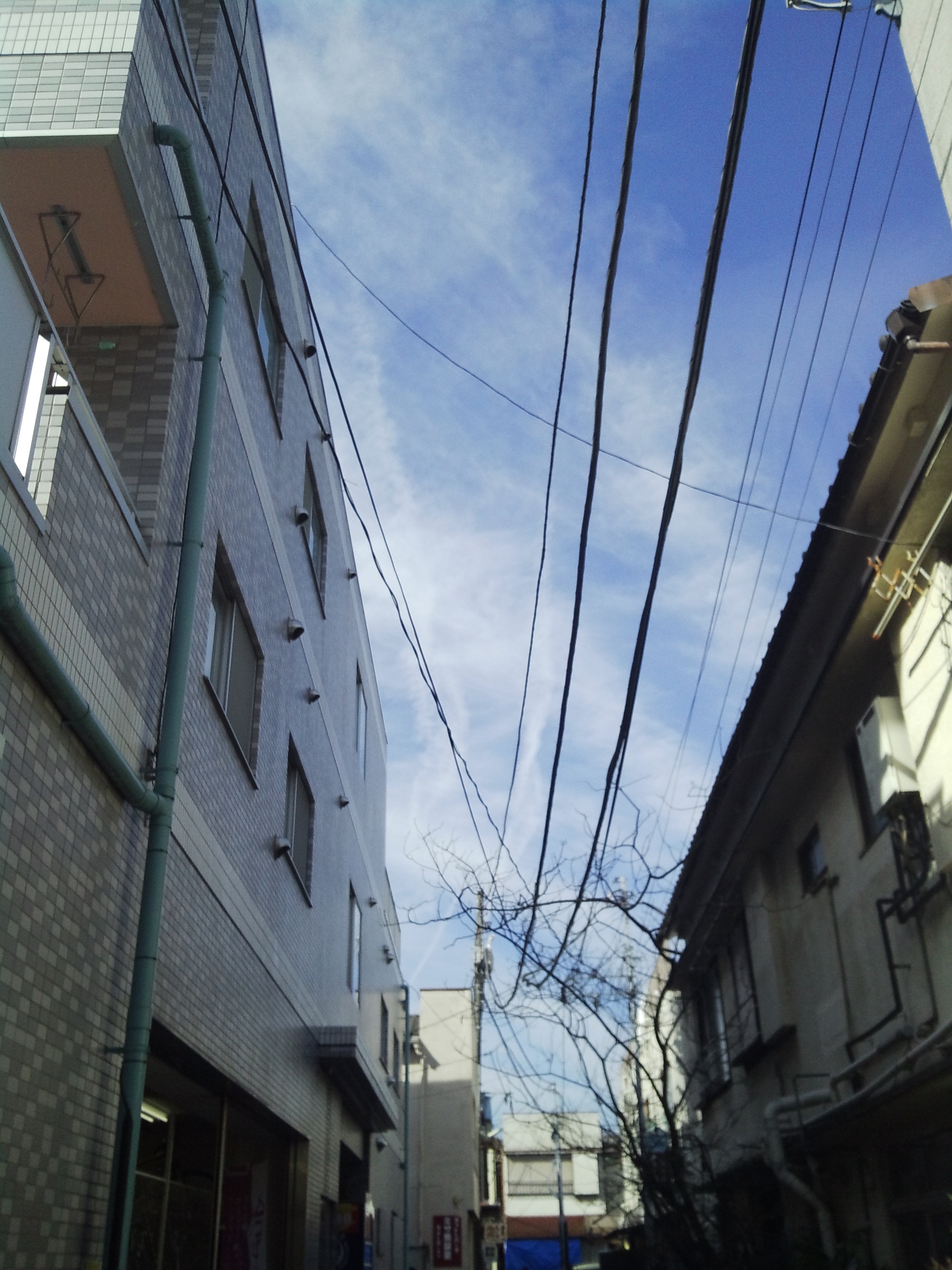 No.22548-1 地震雲