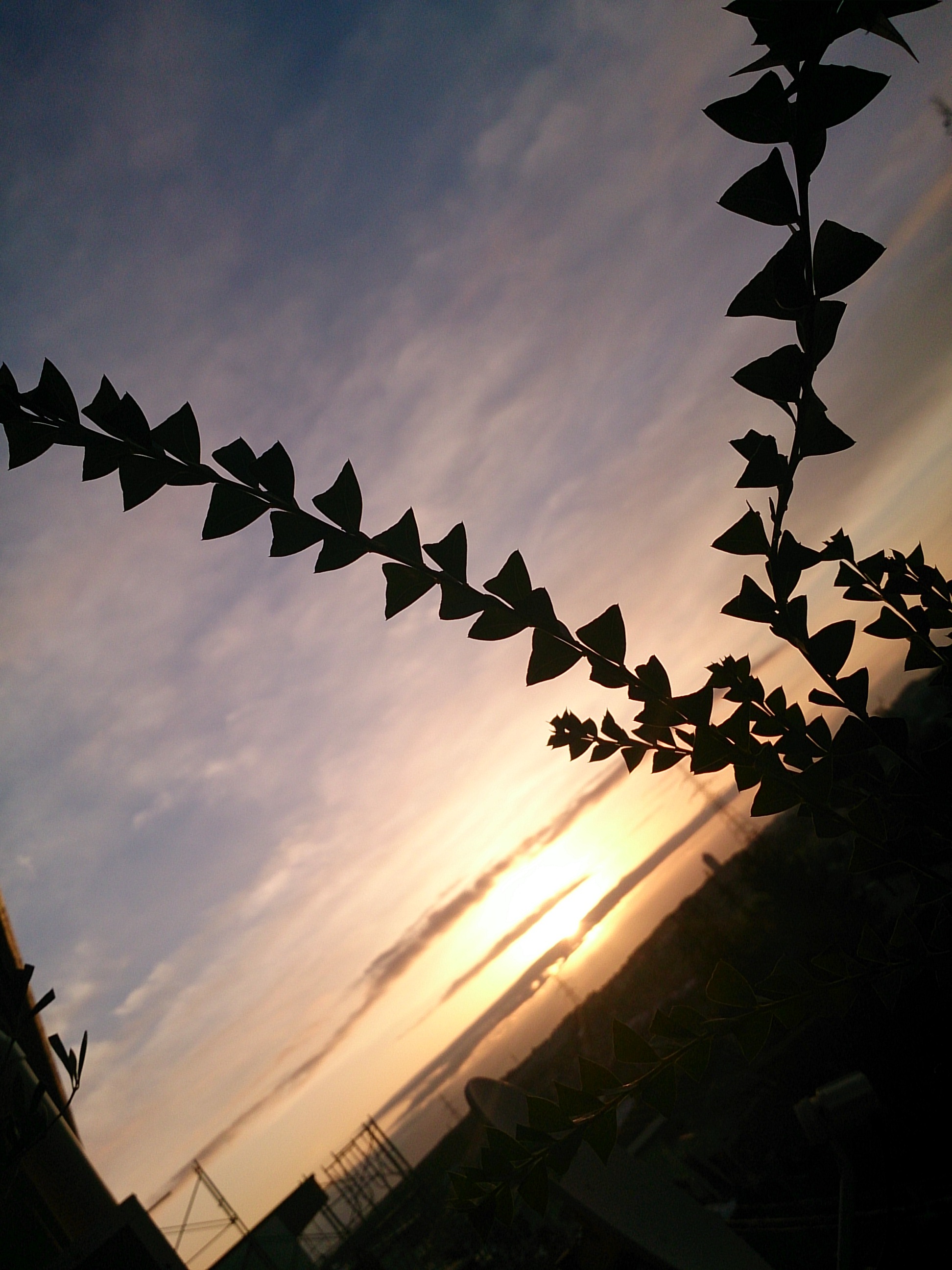 No.22591-1 地震雲