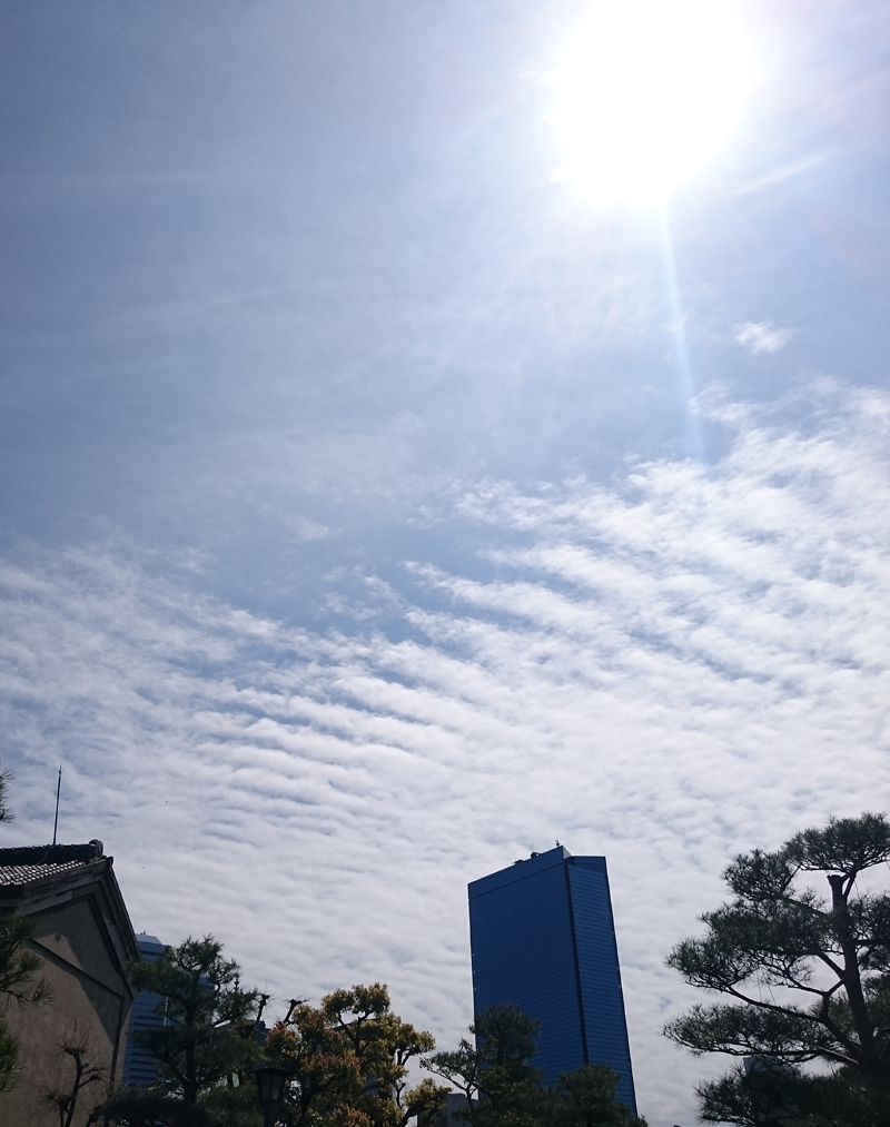 No.22958-1 地震雲