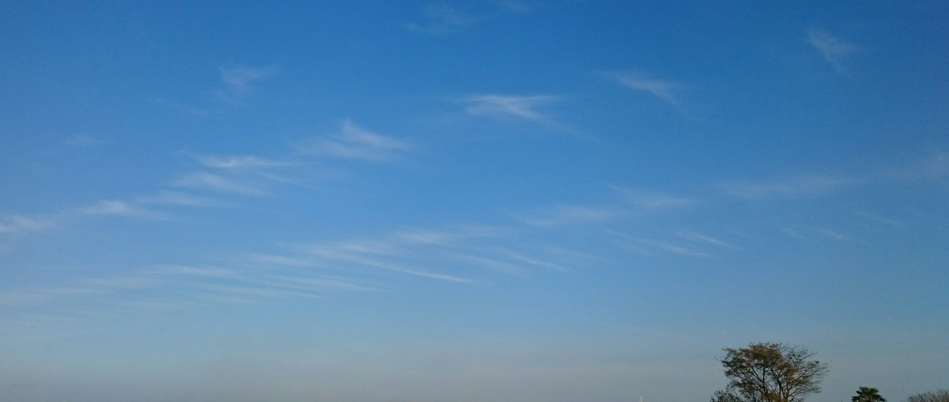 No.23063-1 地震雲