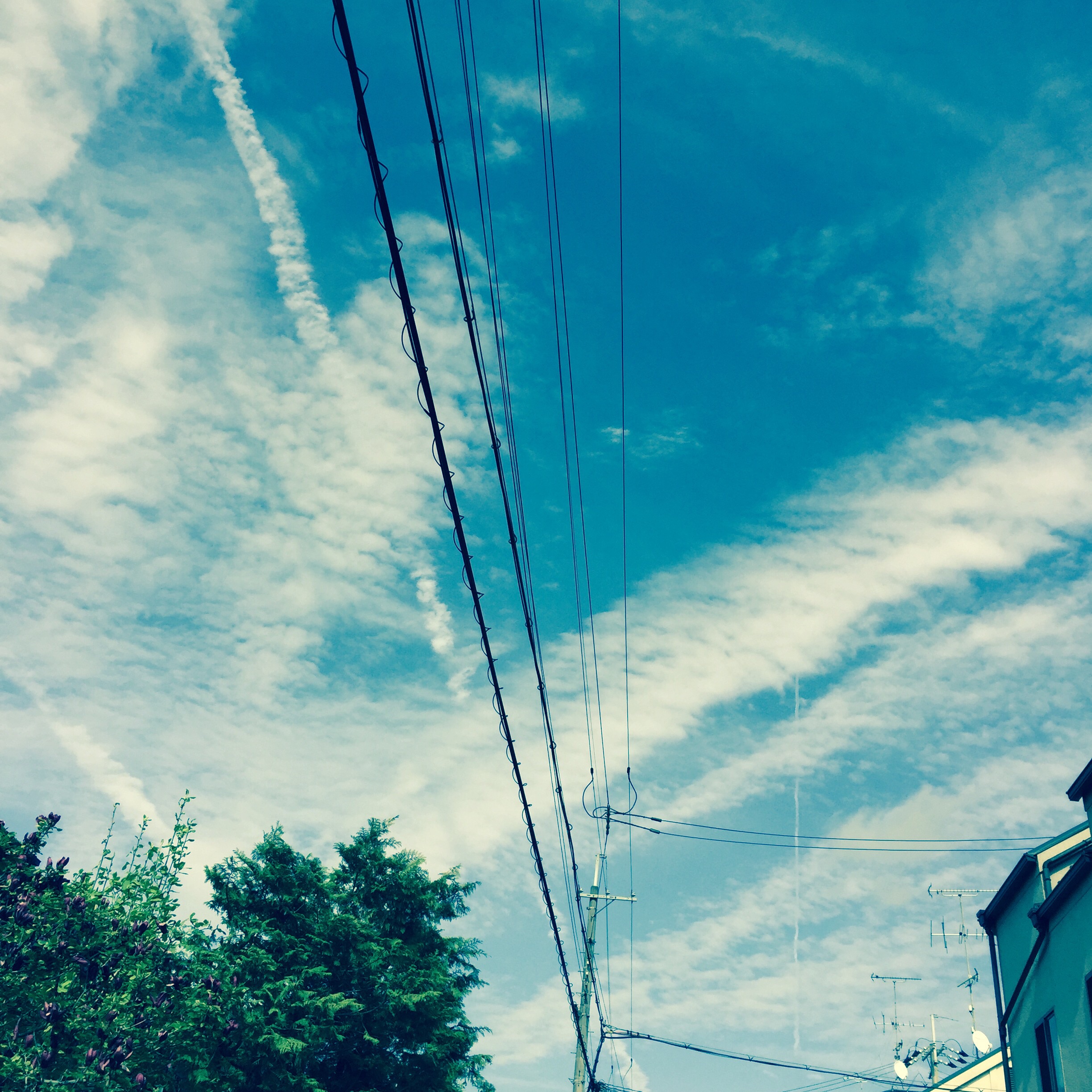 No.23298-1 地震雲