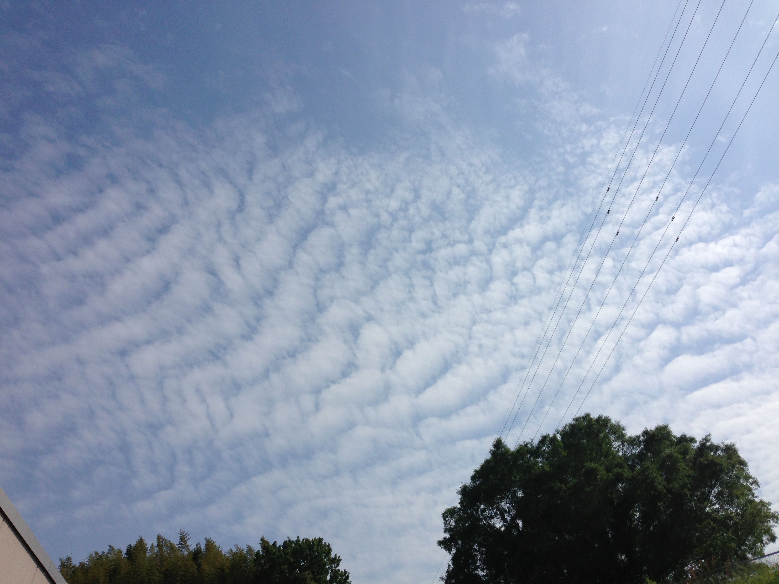 No.23780-1 地震雲