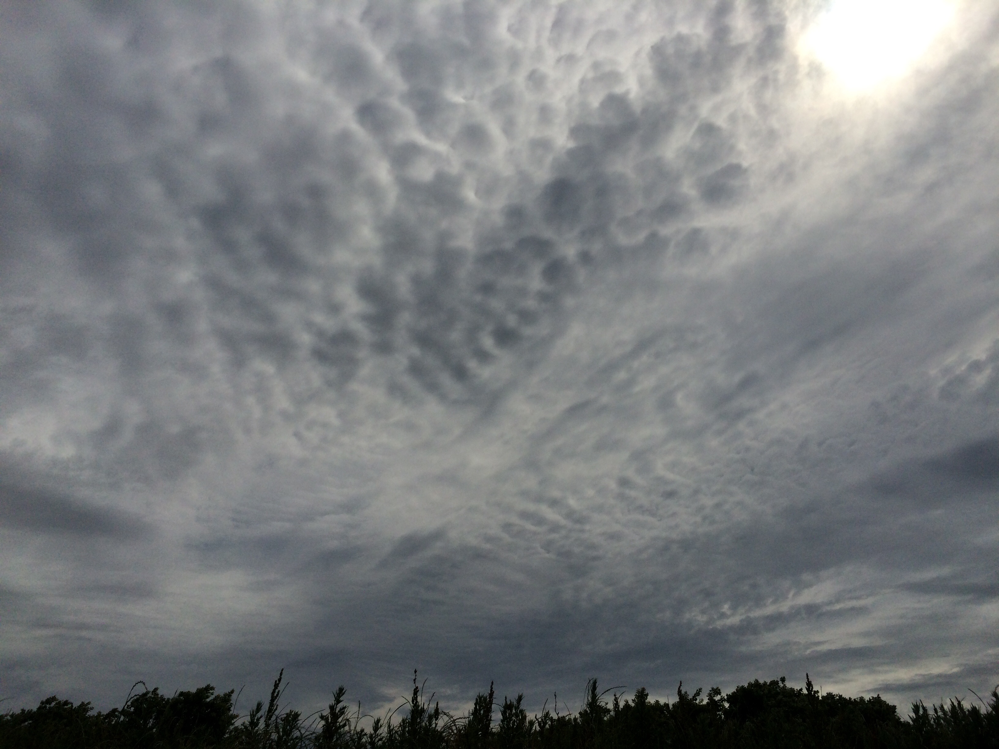 No.23898-1 地震雲