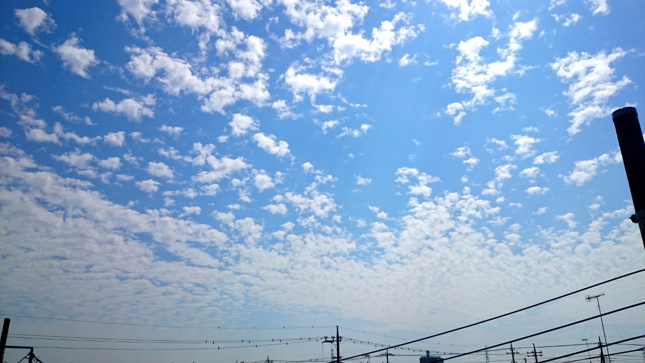 No.23919-1 地震雲