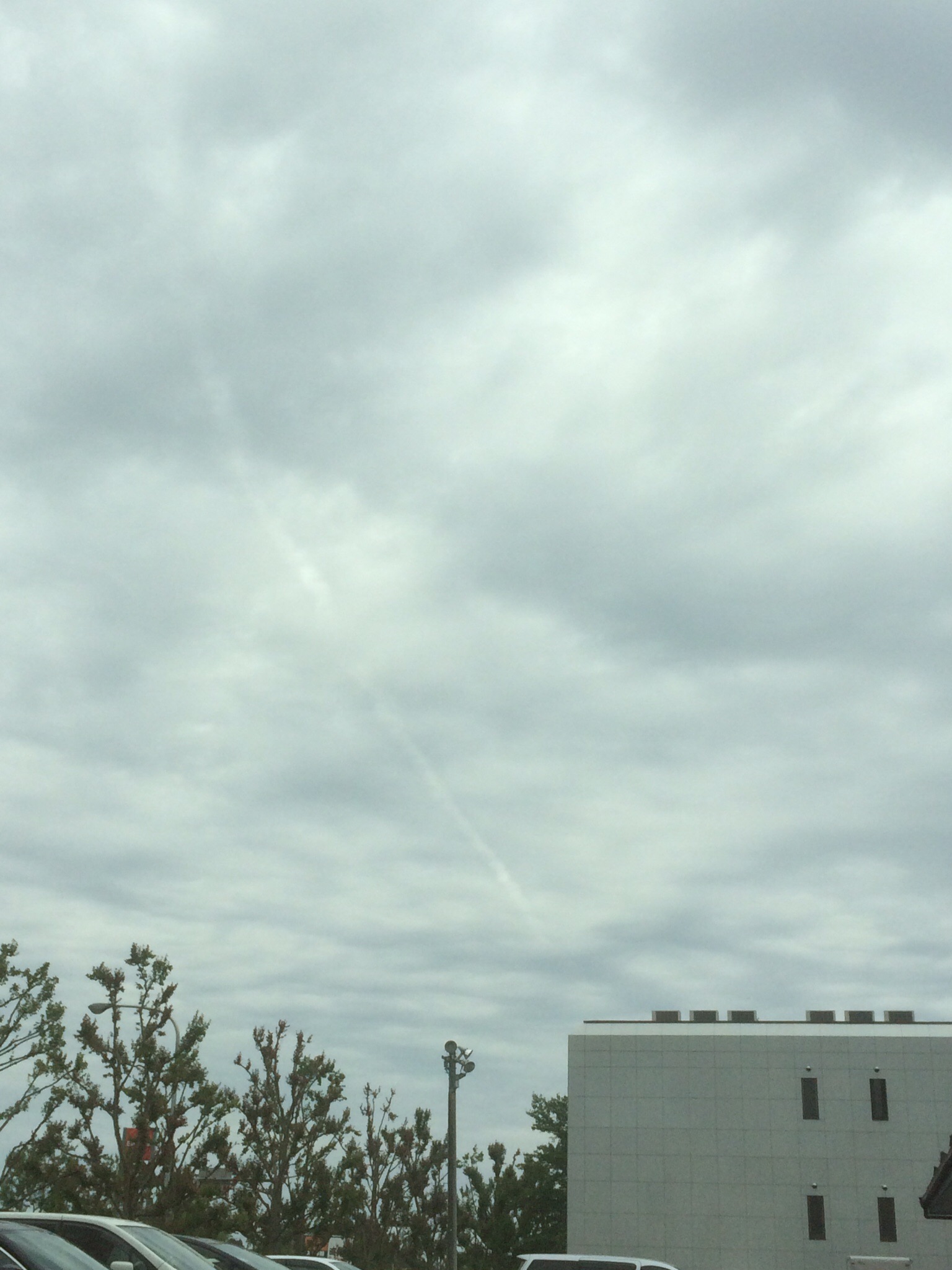 No.23920-1 地震雲