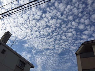 No.23921-1 地震雲